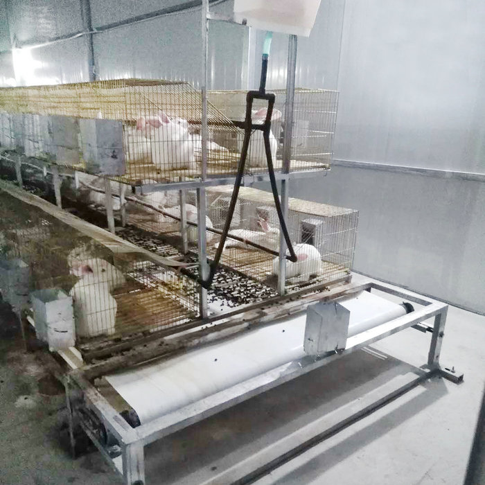 兔用自動(dòng)清糞機 (9).jpg