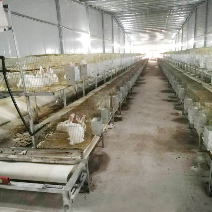 兔用自動(dòng)清糞機 (8).jpg