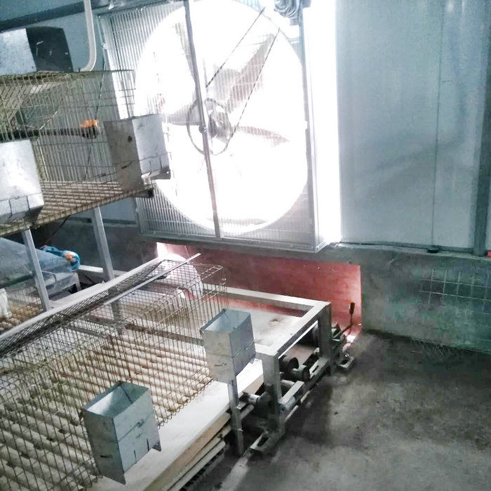 兔用自動(dòng)清糞機 (2).jpg