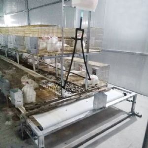 兔用自動(dòng)清糞機